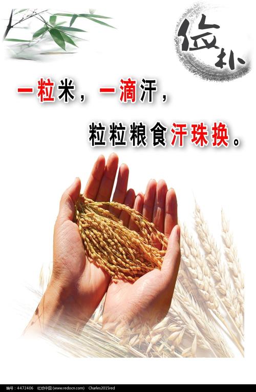 德鲁大学学生卡